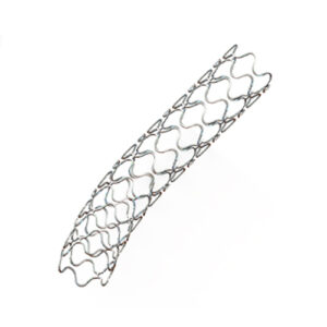 Stent Coronario